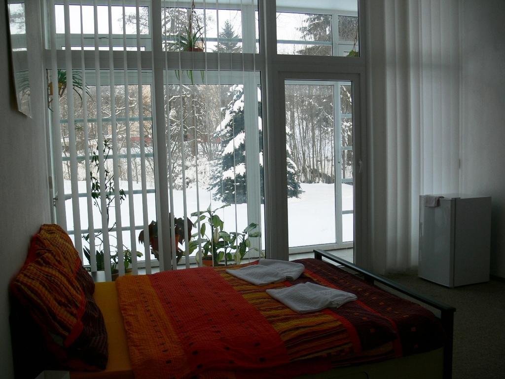 Penzion Tovarnikova Vila Skuhrov nad Belou Room photo