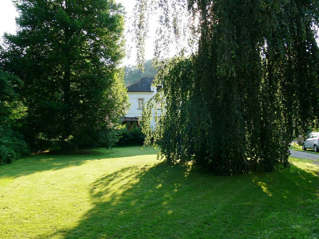 Penzion Tovarnikova Vila Skuhrov nad Belou Exterior photo